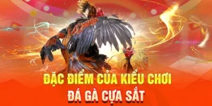 Đá gà cựa sắt – Hướng dẫn chơi và kinh nghiệm thắng lớn tại 33BET